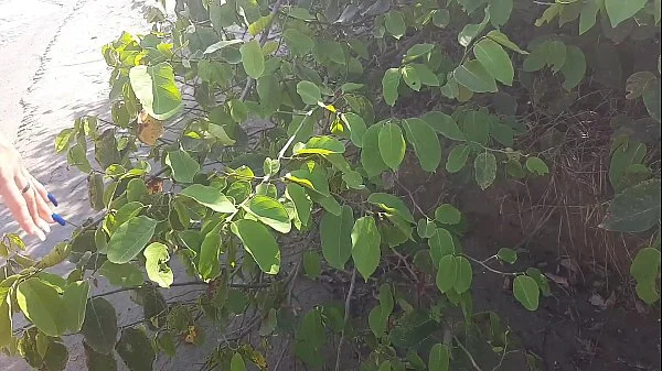 Férias Com a Galera na Praia Bertioga