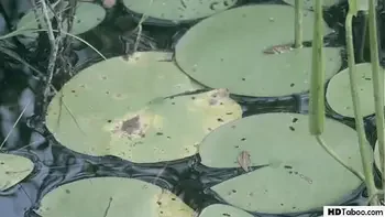 Monster Of The Lake Likes Human Genitals - Bree Daniels, Bella Rolland