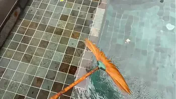 Lonely Housewife Couldn't Resist the Temptation of Being Fucked by Sports Swimming Pool Cleaner POV