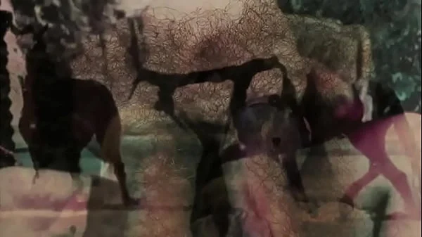 Vintage Taboo, Pussy & Pooch