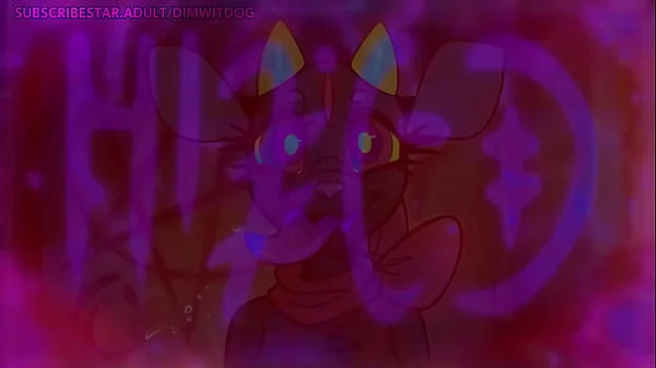 DimWitDog - VIVA VIERA