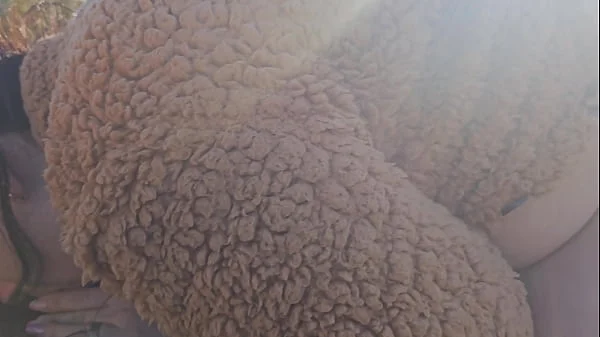 Guia turístico most pau pa turista na montanha