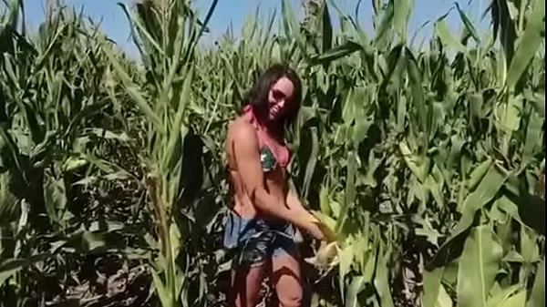 Riley Jacobs checking corn - PREVIEW