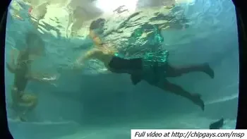 Chicks sucked in swimming pool