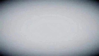 Snake Annoad & Petruz Sex