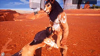 Wild Life - Fox Fucking In The Desert