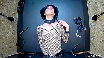 Exciting And Gorgeous - Shell Take Care Of Everything