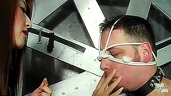 Irresistible Hustlers Whipping Trailer