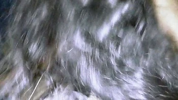 Bangladeshi Village Real Love Challenge: Desi Bhabhi & Step-Sister in School Uniform - First Time Virgin Pussy