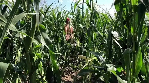 Riley Jacobs playing in corn field
