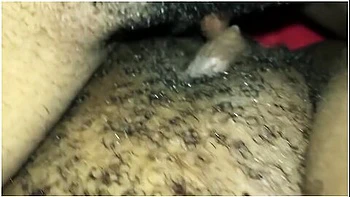 Ebony Lesbians Tribbing