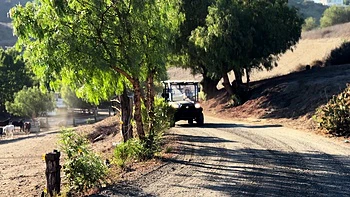 Busty Cowgirl Blake Blossom Fucked By Her Neighbor