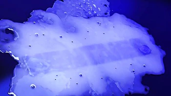 Watch flashy Ariana Van X's action