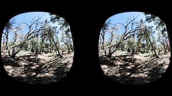 Leya Falcon and Amethyst Aura - Forest Foreplay