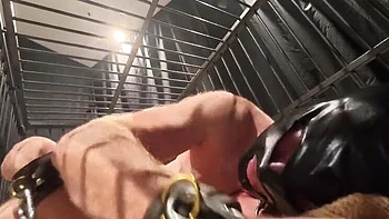 Cruel British BBW Secretary Fucked with Femdom Strap-On & CBT