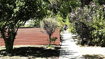 Grooby girls hardcore anal fuck with ts pornstar