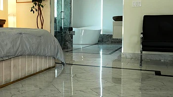 Lesbian Brunette Babe Licks Boss's Pussy