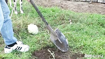Watch flirtatious GF's sex